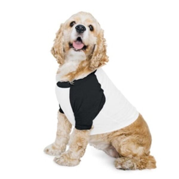 Dog Poly-Cotton 3/4 Sleeve Raglan T-Shirt Thumbnail